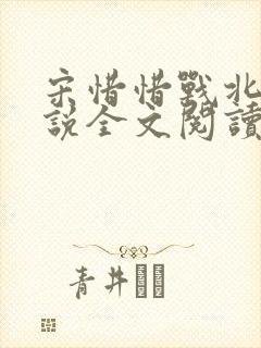 宋惜惜战北望小说全文阅读