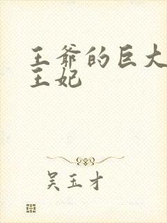 王爷的巨大进入王妃