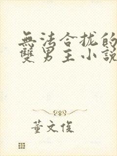 无法合拢的总裁双男主小说