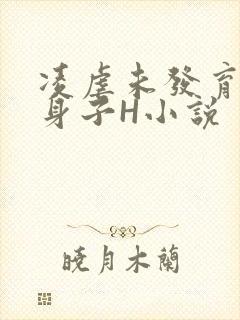 凌虐未发育的小身子H小说