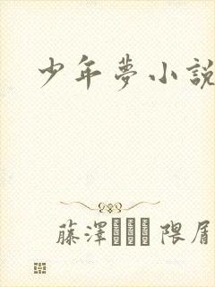 少年梦小说