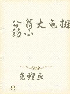 公翁大龟挺进我的小