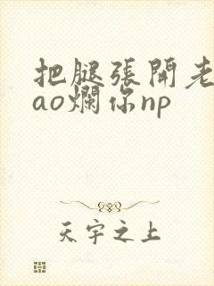 把腿张开老子cao烂你np