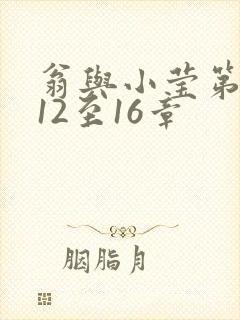 翁与小莹第十部12至16章