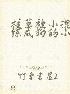 校草被小混混训练成狗的小说