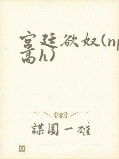 宫廷欲奴(np高h)