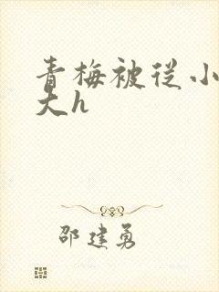 青梅被从小摸到大h