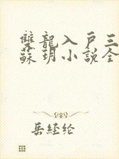 双龙入户三人行苏玥小说全文阅读