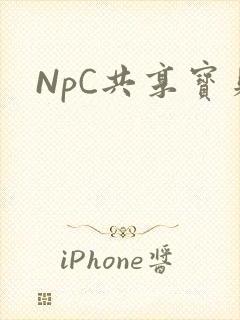 NpC共享宝贝