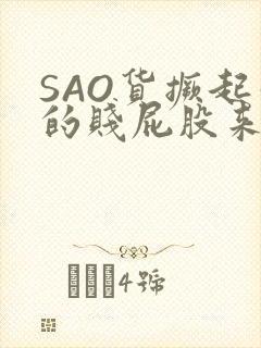 SAO货撅起你的贱屁股来