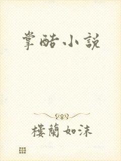 掌酷小说