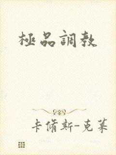 极品调教