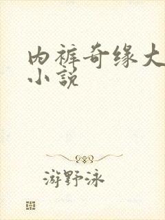 内裤奇缘大团结小说