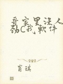 哥家里没人使点劲C我软件