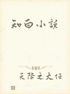 知白小说