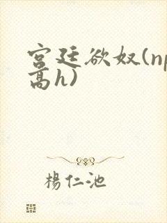 宫廷欲奴(np高h)
