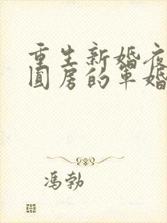 重生新婚夜正在圆房的军婚