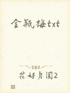 金瓶梅txt