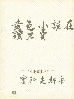 黄色小说在线阅读免费