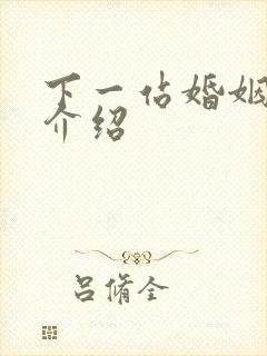 下一站婚姻剧情介绍