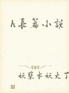 h长篇小说