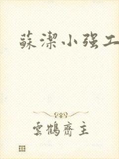 苏洁小强工地情