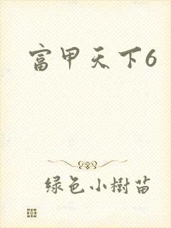 富甲天下6