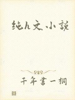 纯h文小说