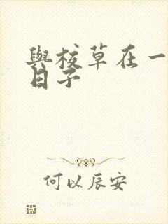 与校草在一起的日子