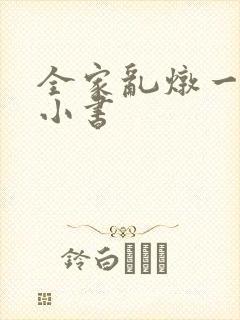 全家乱炖一锅烩小书