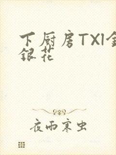 下厨房TXl金银花