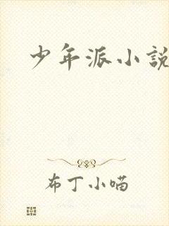 少年派小说