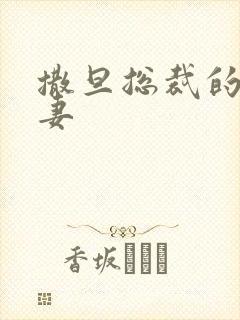 撒旦总裁的下堂妻