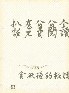 扒灰公公全部小说免费阅读全文