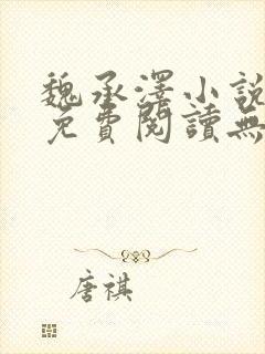 魏承泽小说全文免费阅读无弹窗笔趣