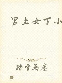 男上女下小说