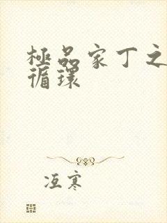 极品家丁之因果循环