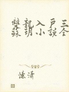 双龙入户三人行苏玥小说全文阅读