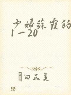 少妇苏霞的沉沦1一20