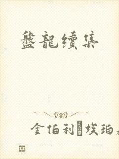 盘龙续集