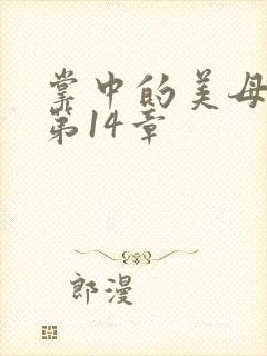 掌中的美母版主第14章封面