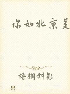 你如北京美丽