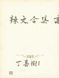 辣文合集 高h