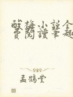 酸梅小说全文免费阅读笔趣阁