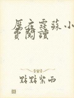 厉夜霆苏小汐免费阅读封面