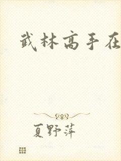 武林高手在异界