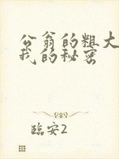 公翁的粗大放进我的秘密