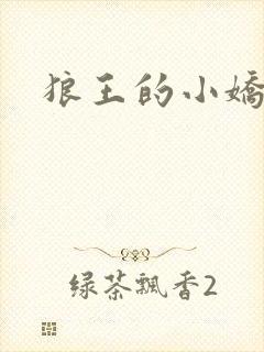 《狼王的小娇妻》小说封面