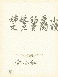 婶娘的爱小说全文免费阅读