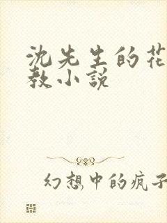 沈先生的花式调教小说